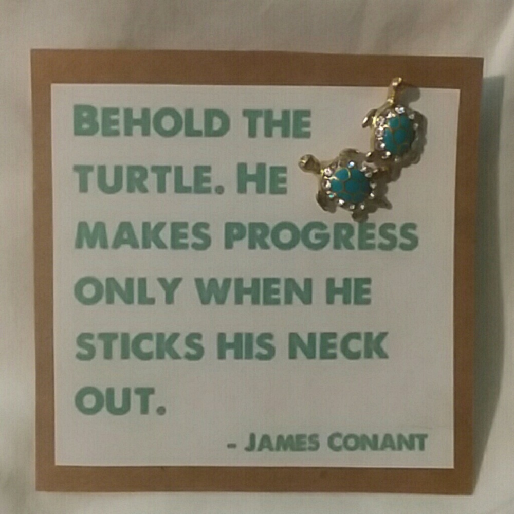 Turtle Earrings